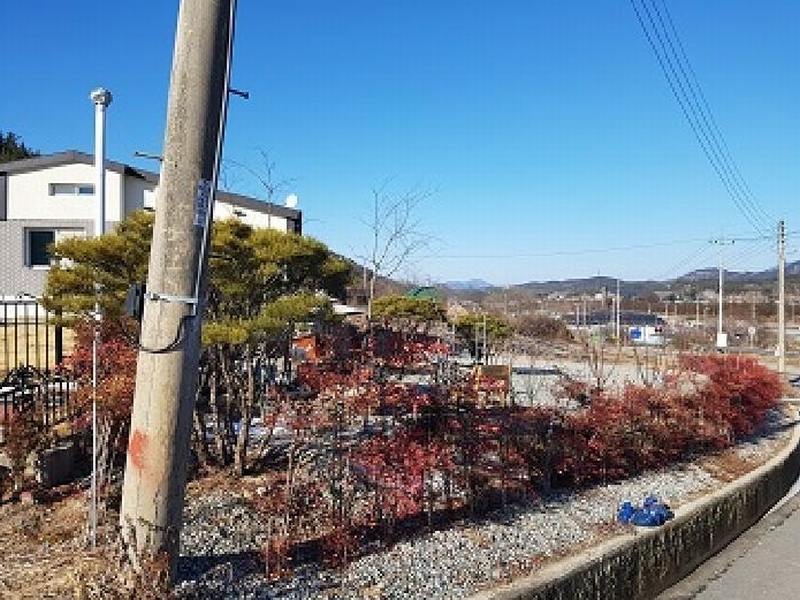 2025타경87 대구광역시 군위군 산성면 화본리 1118-7 농지 경매 이미지