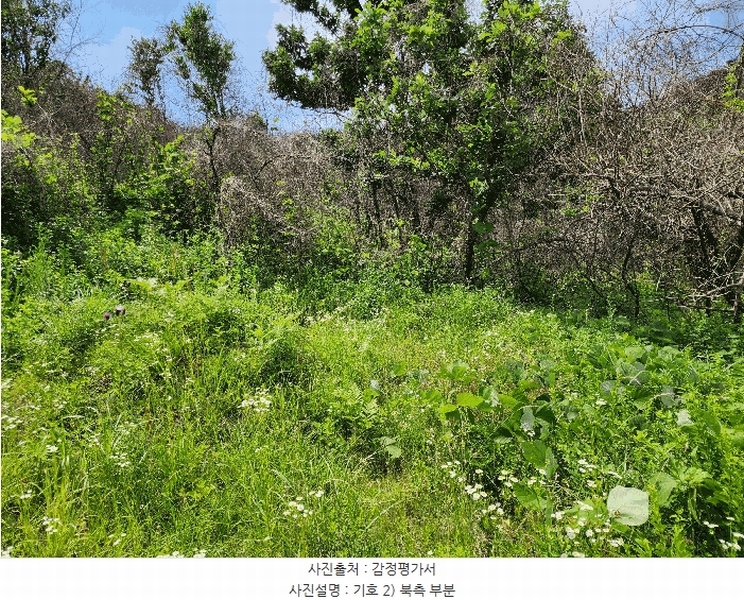2025타경10206 경상북도 의성군 옥산면 전흥리 528 농지 경매 이미지