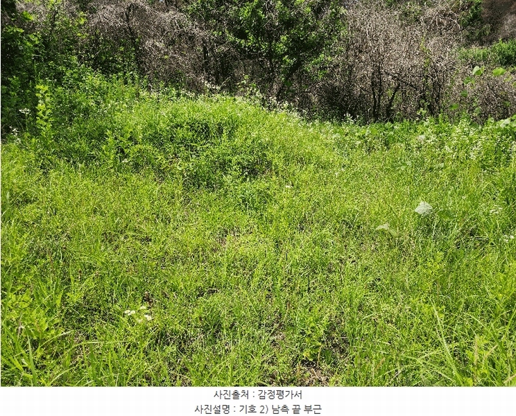 2025타경10206 경상북도 의성군 옥산면 전흥리 528 농지 경매 이미지