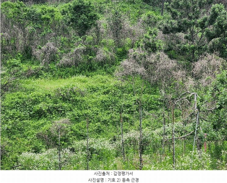 2025타경10206 경상북도 의성군 옥산면 전흥리 528 농지 경매 이미지