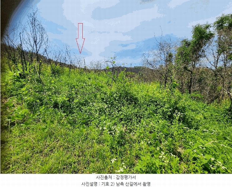 2025타경10206 경상북도 의성군 옥산면 전흥리 528 농지 경매 이미지