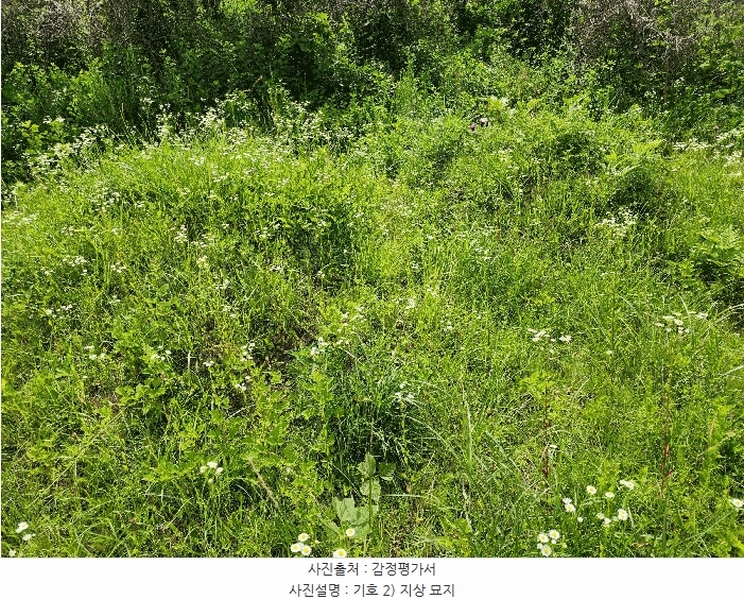 2025타경10206 경상북도 의성군 옥산면 전흥리 528 농지 경매 이미지