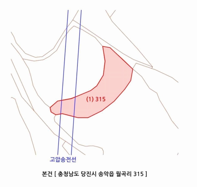 2025타경554 충청남도 당진시 송악읍 월곡리 315 농지 경매 이미지