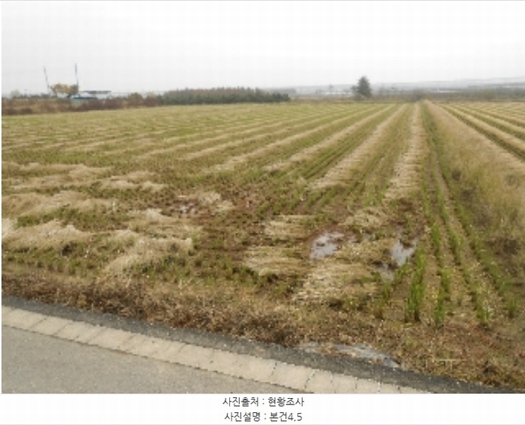 2024타경62116 충청북도 청주시 흥덕구 오송읍 동평리 57-1 농지 경매 이미지