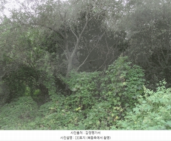2025타경3943 경상북도 포항시 북구 기계면 성계리 1158 농지 경매 이미지