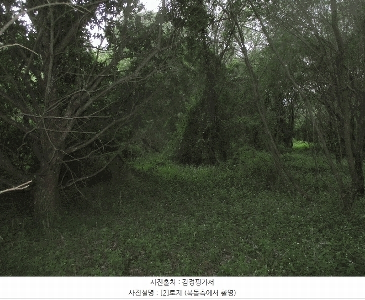 2025타경3943 경상북도 포항시 북구 기계면 성계리 1158 농지 경매 이미지