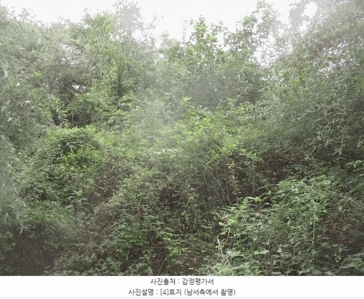 2025타경3943 경상북도 포항시 북구 기계면 성계리 1158 농지 경매 이미지