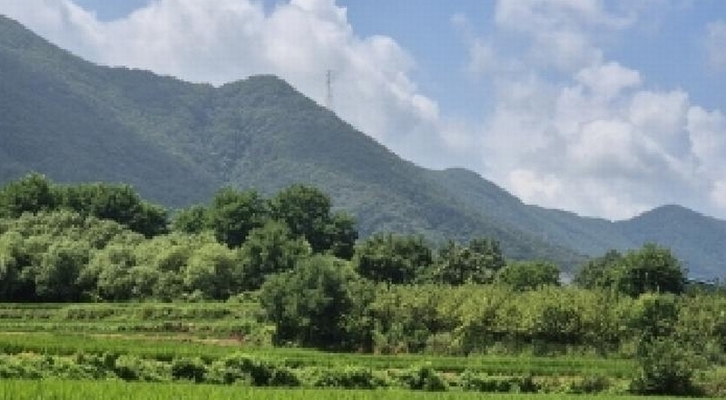 2025타경3943 경상북도 포항시 북구 기계면 성계리 1158 농지 경매 이미지