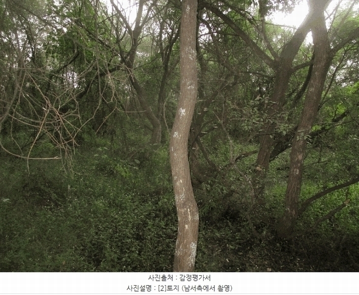 2025타경3943 경상북도 포항시 북구 기계면 성계리 1158 농지 경매 이미지