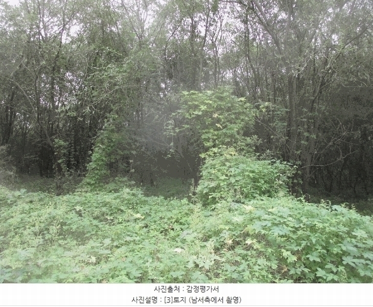 2025타경3943 경상북도 포항시 북구 기계면 성계리 1158 농지 경매 이미지