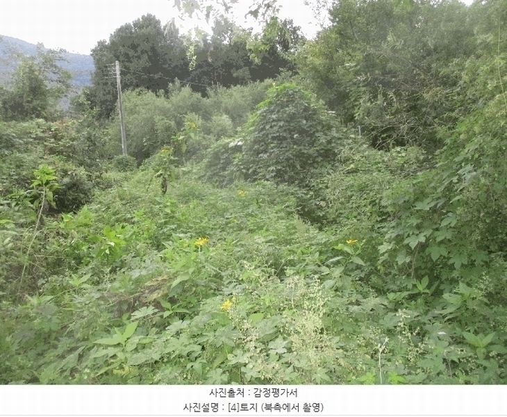 2025타경3943 경상북도 포항시 북구 기계면 성계리 1158 농지 경매 이미지