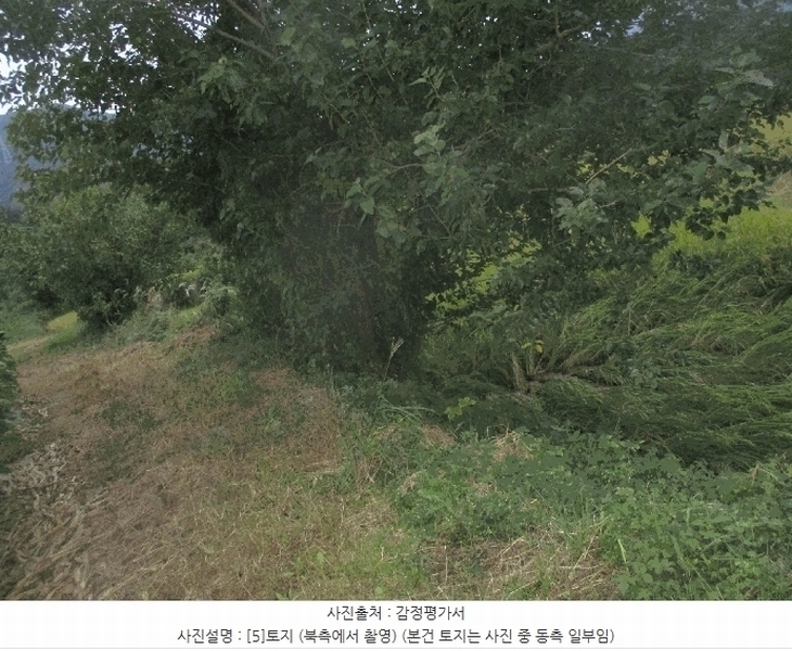 2025타경3943 경상북도 포항시 북구 기계면 성계리 1158 농지 경매 이미지