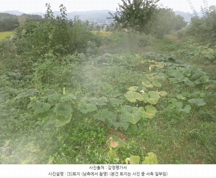 2025타경3943 경상북도 포항시 북구 기계면 성계리 1158 농지 경매 이미지