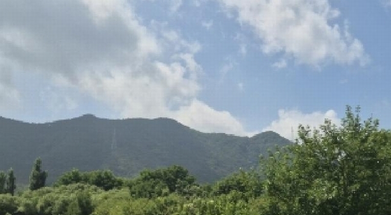 2025타경3943 경상북도 포항시 북구 기계면 성계리 1158 농지 경매 이미지