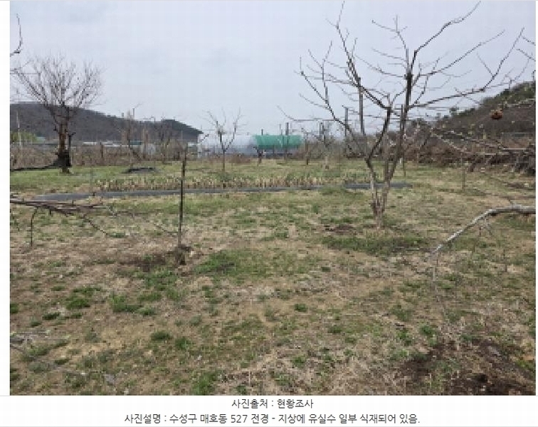 2025타경592 대구광역시 수성구 매호동 530-1 농지 경매 이미지