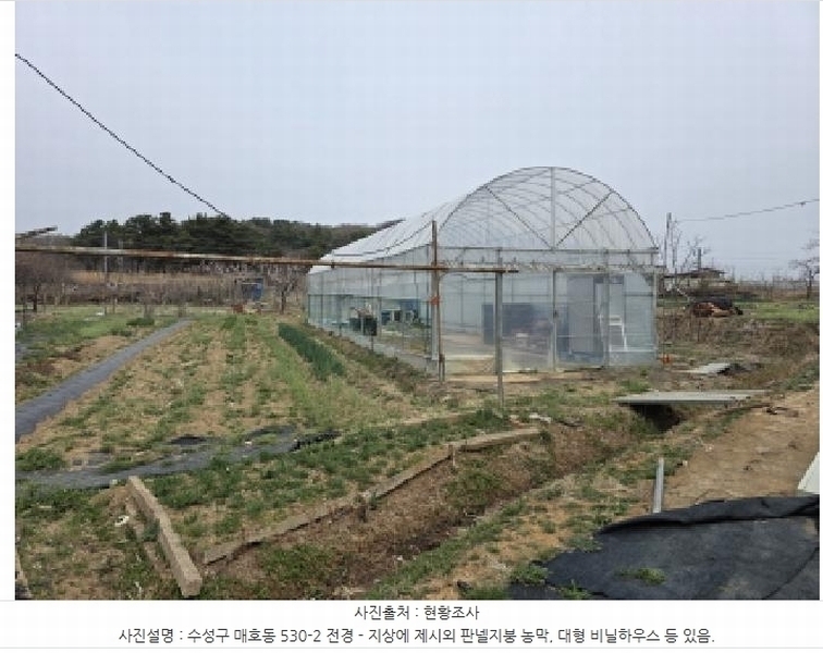 2025타경592 대구광역시 수성구 매호동 530-1 농지 경매 이미지