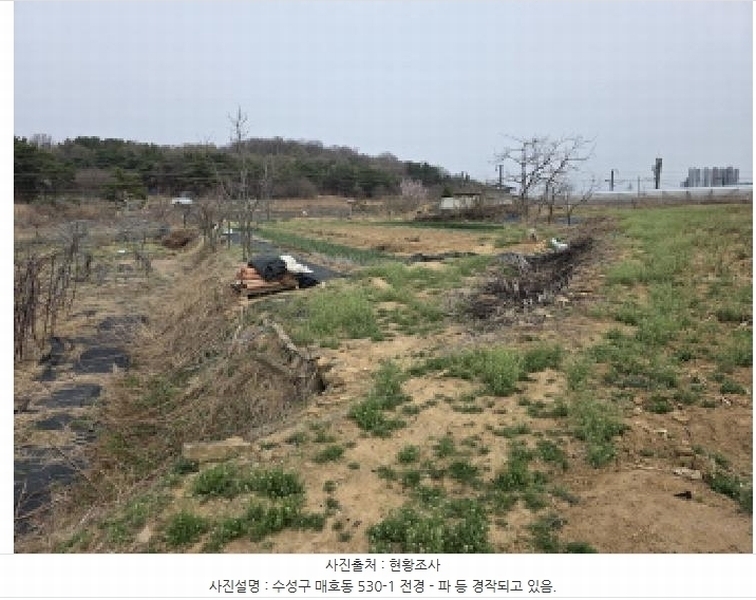 2025타경592 대구광역시 수성구 매호동 530-1 농지 경매 이미지