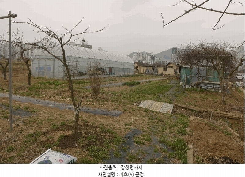 2025타경592 대구광역시 수성구 매호동 530-1 농지 경매 이미지