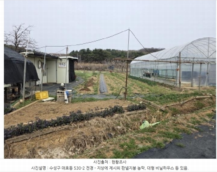 2025타경592 대구광역시 수성구 매호동 530-1 농지 경매 이미지