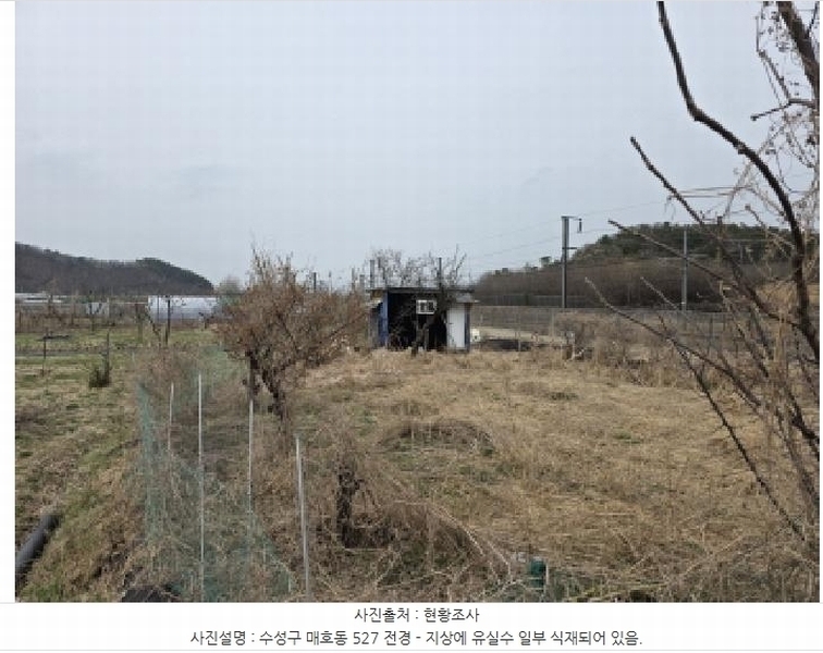 2025타경592 대구광역시 수성구 매호동 530-1 농지 경매 이미지