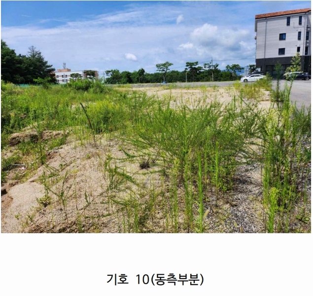 2024타경114 충청북도 제천시 왕암동 89-71 대지 경매 이미지