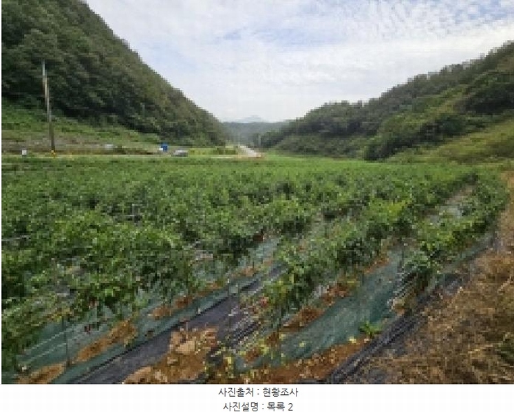 2025타경157 충청북도 단양군 어상천면 방북리 67 농지 경매 이미지