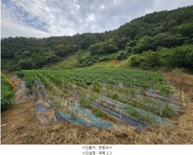 2025타경157 충청북도 단양군 어상천면 방북리 67 농지 경매 이미지