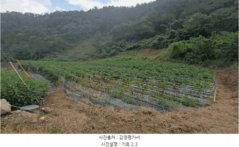 2025타경157 충청북도 단양군 어상천면 방북리 67 농지 경매 이미지