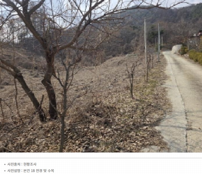 2025타경5259 충청북도 제천시 청풍면 연곡리 204 임야 경매 이미지
