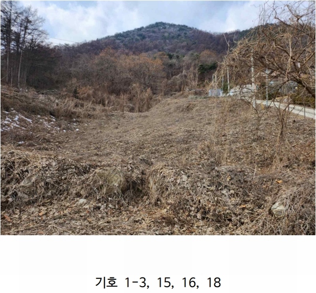 2025타경5259 충청북도 제천시 청풍면 연곡리 204 임야 경매 이미지