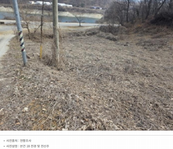 2025타경5259 충청북도 제천시 청풍면 연곡리 204 임야 경매 이미지