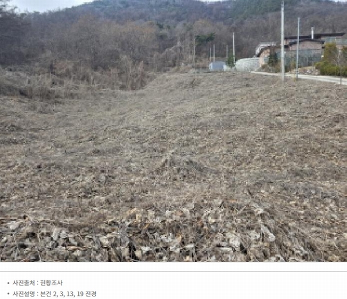 2025타경5259 충청북도 제천시 청풍면 연곡리 204 임야 경매 이미지