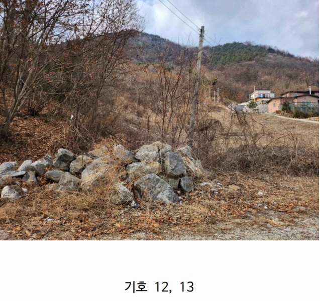 2025타경5259 충청북도 제천시 청풍면 연곡리 204 임야 경매 이미지