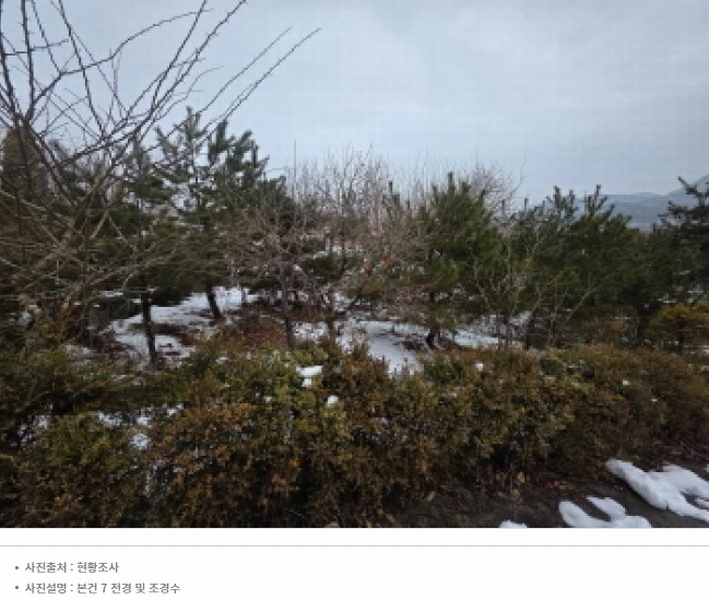 2025타경5259 충청북도 제천시 청풍면 연곡리 154-31 주택 경매 이미지