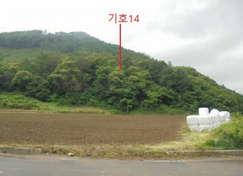 2025타경5339 충청북도 제천시 송학면 오미리 산70 임야 경매 이미지