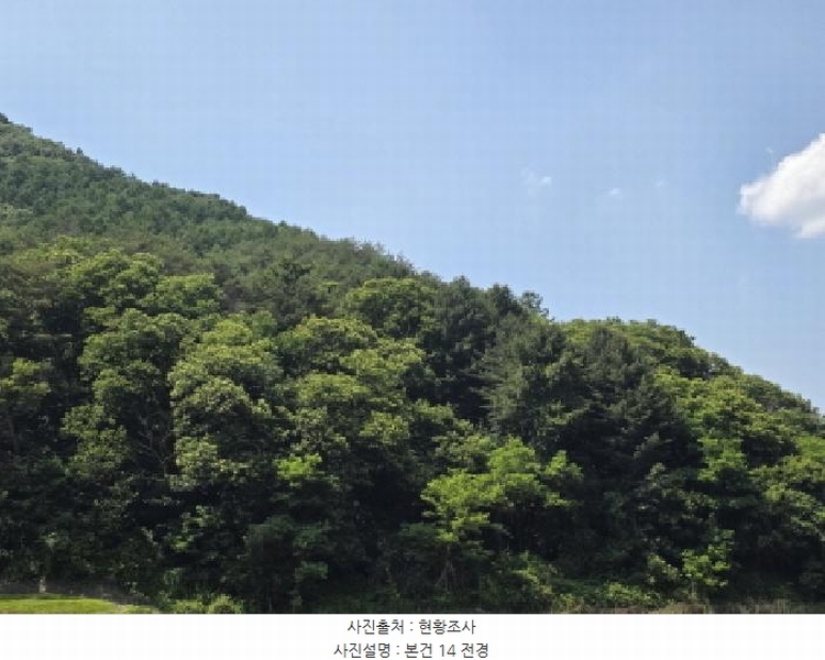 2025타경5339 충청북도 제천시 송학면 오미리 산70 임야 경매 이미지