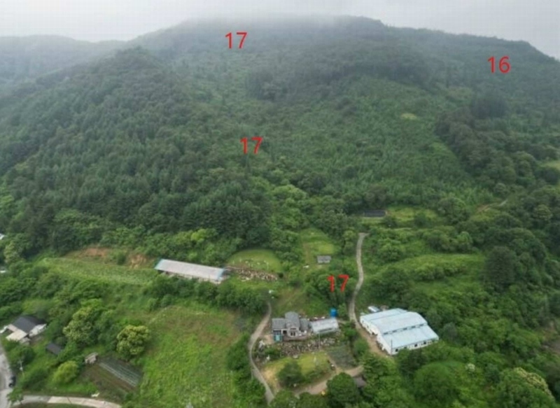 2025타경5339 충청북도 제천시 송학면 오미리 산70 임야 경매 이미지