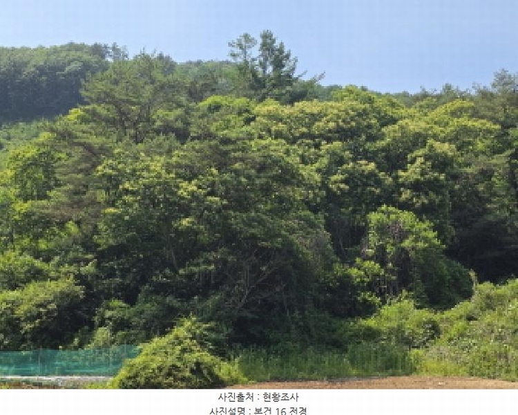 2025타경5339 충청북도 제천시 송학면 오미리 산70 임야 경매 이미지