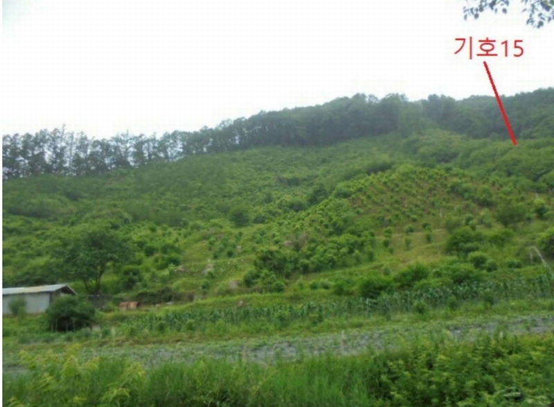 2025타경5339 충청북도 제천시 송학면 오미리 산70 임야 경매 이미지