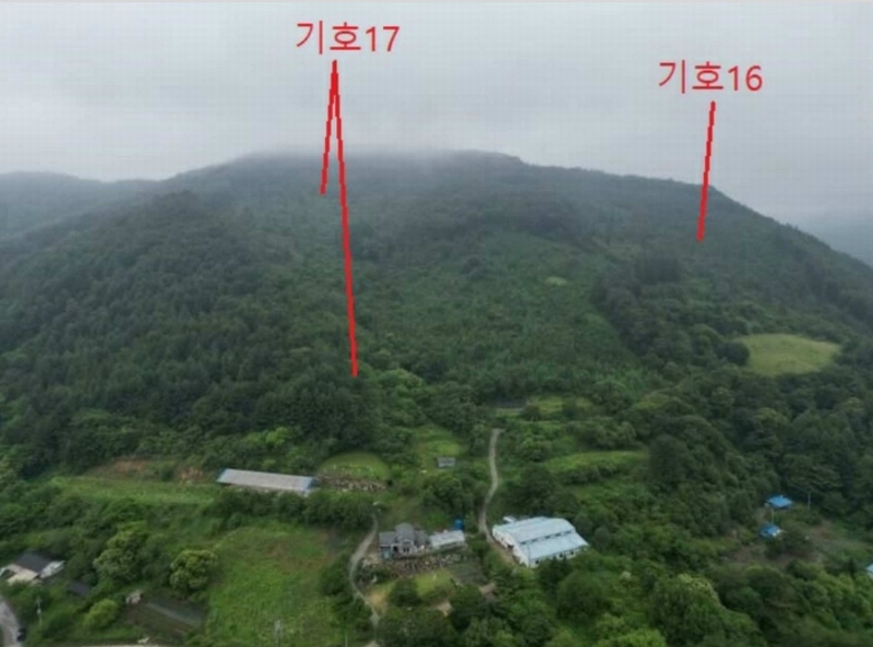 2025타경5339 충청북도 제천시 송학면 오미리 산70 임야 경매 이미지