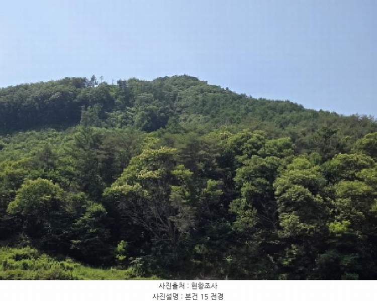 2025타경5339 충청북도 제천시 송학면 오미리 산70 임야 경매 이미지