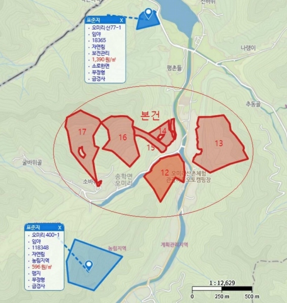 2025타경5339 충청북도 제천시 송학면 오미리 산70 임야 경매 이미지