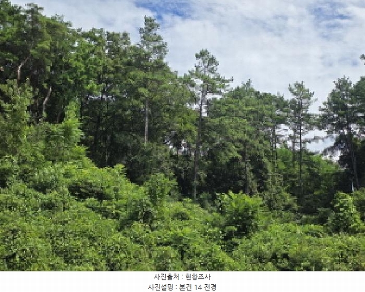 2025타경5371 충청북도 제천시 금성면 성내리 산48-1 임야 경매 이미지