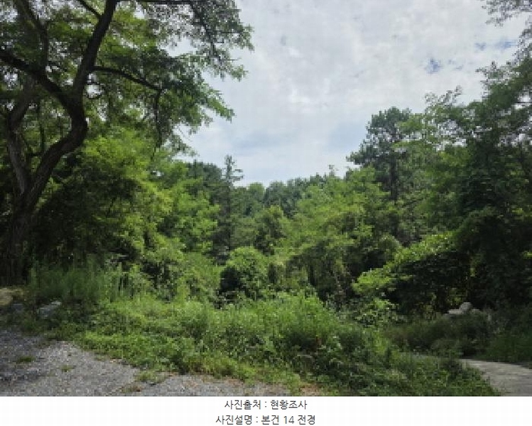 2025타경5371 충청북도 제천시 금성면 성내리 산48-1 임야 경매 이미지