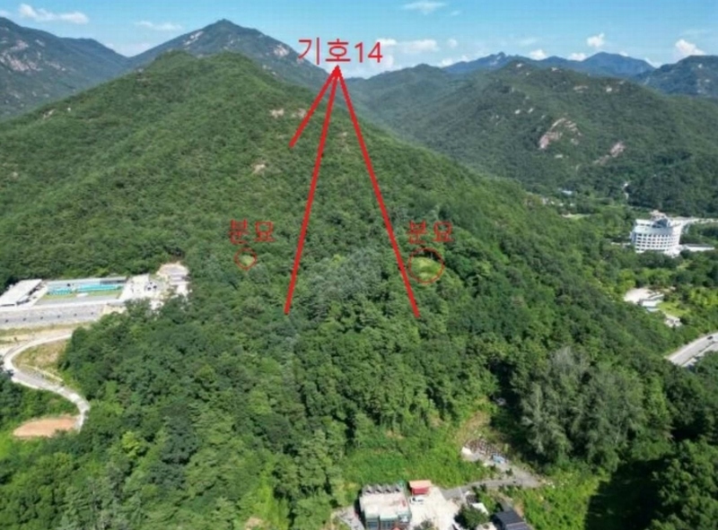 2025타경5371 충청북도 제천시 금성면 성내리 산48-1 임야 경매 이미지