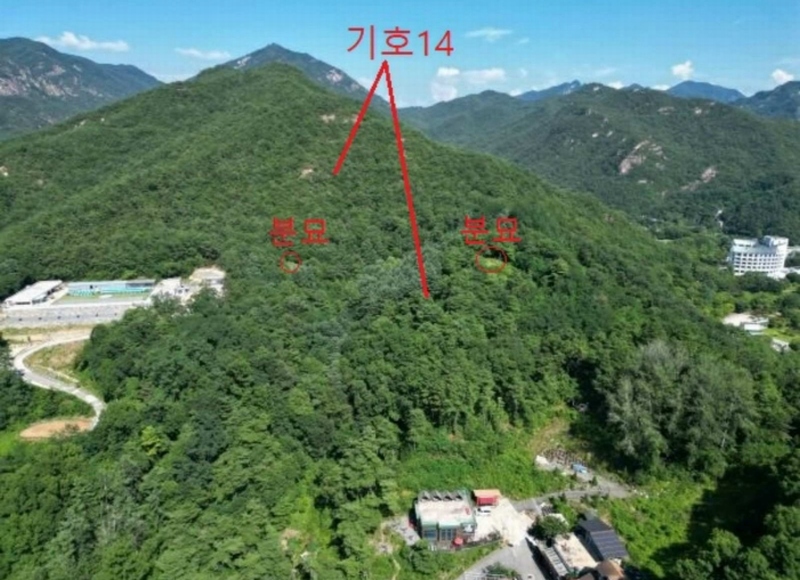2025타경5371 충청북도 제천시 금성면 성내리 산48-1 임야 경매 이미지