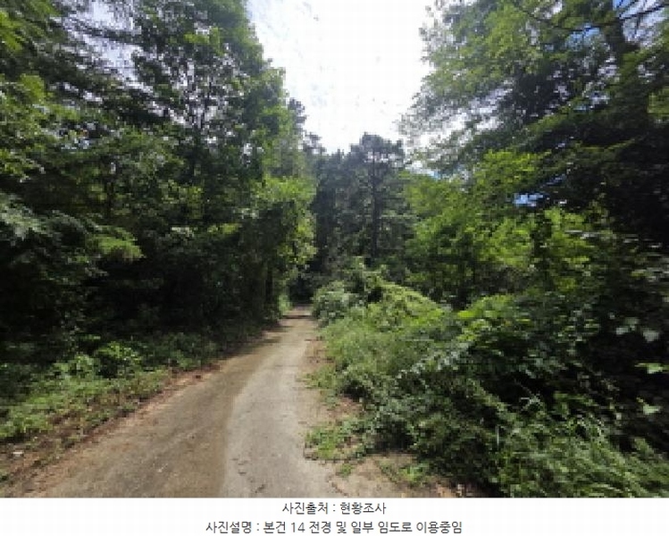 2025타경5371 충청북도 제천시 금성면 성내리 산48-1 임야 경매 이미지