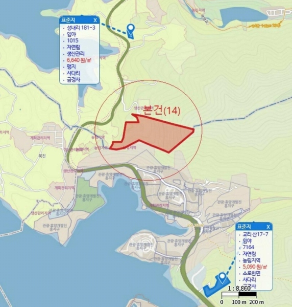2025타경5371 충청북도 제천시 금성면 성내리 산48-1 임야 경매 이미지