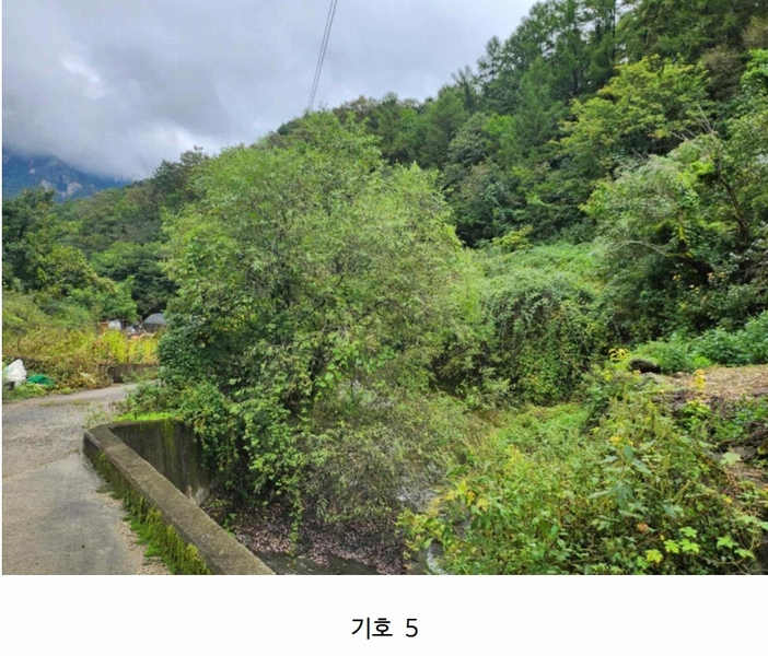 2025타경5417 충청북도 제천시 한수면 송계리 916 농지 경매 이미지