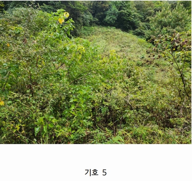 2025타경5417 충청북도 제천시 한수면 송계리 916 농지 경매 이미지